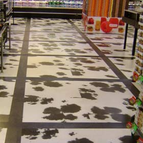 I herd you had a new floor... it's udderly brilliant... a mooving sight... /stowed may need to go and have a lie down after thinking up all those cow jokes